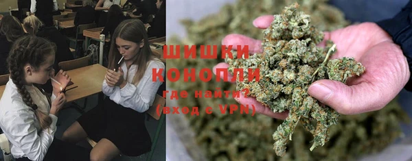 ПСИЛОЦИБИНОВЫЕ ГРИБЫ Володарск