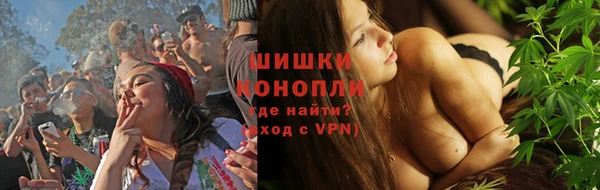 PSILOCYBIN Бронницы