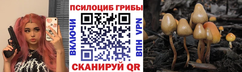 Галлюциногенные грибы Magic Shrooms  Дно 